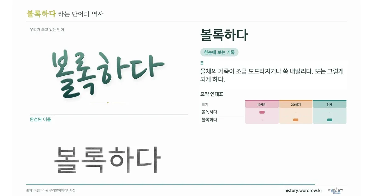 볼록하다 대표 이미지