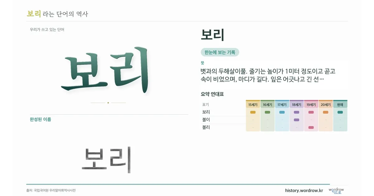 보리 대표 이미지