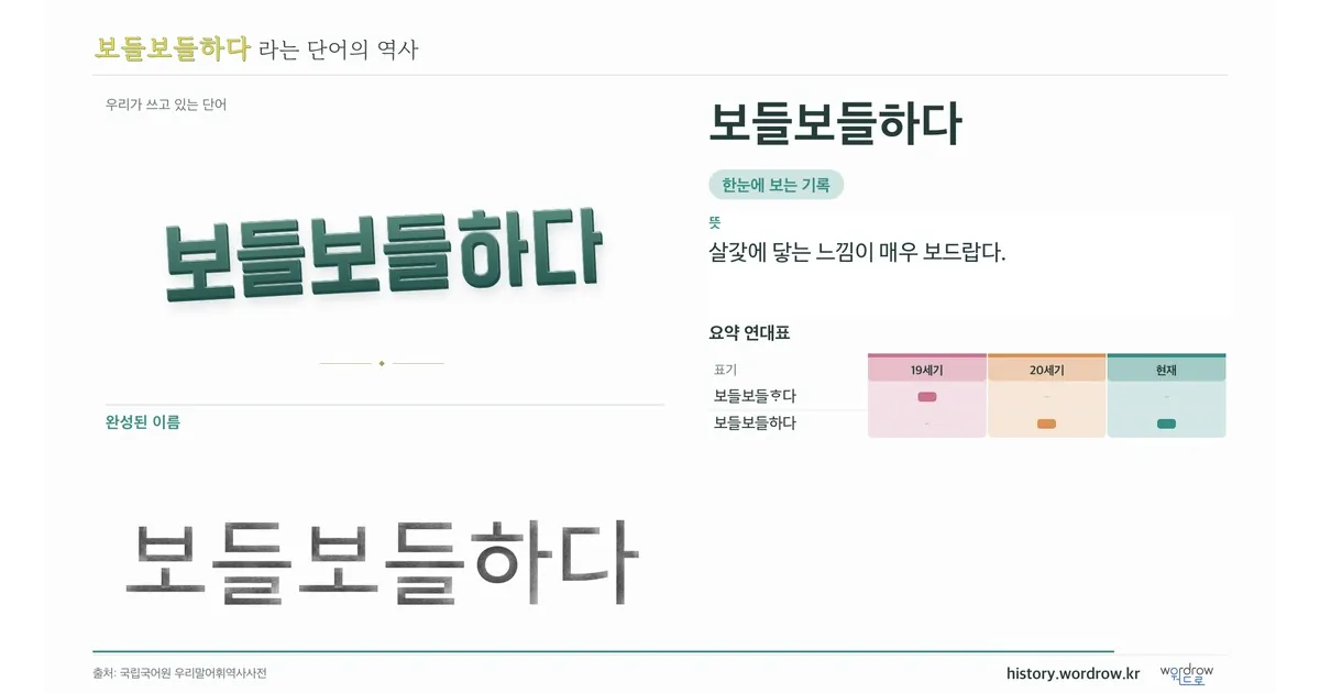 보들보들하다 대표 이미지