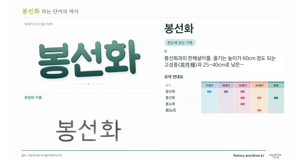 봉선화 대표 이미지