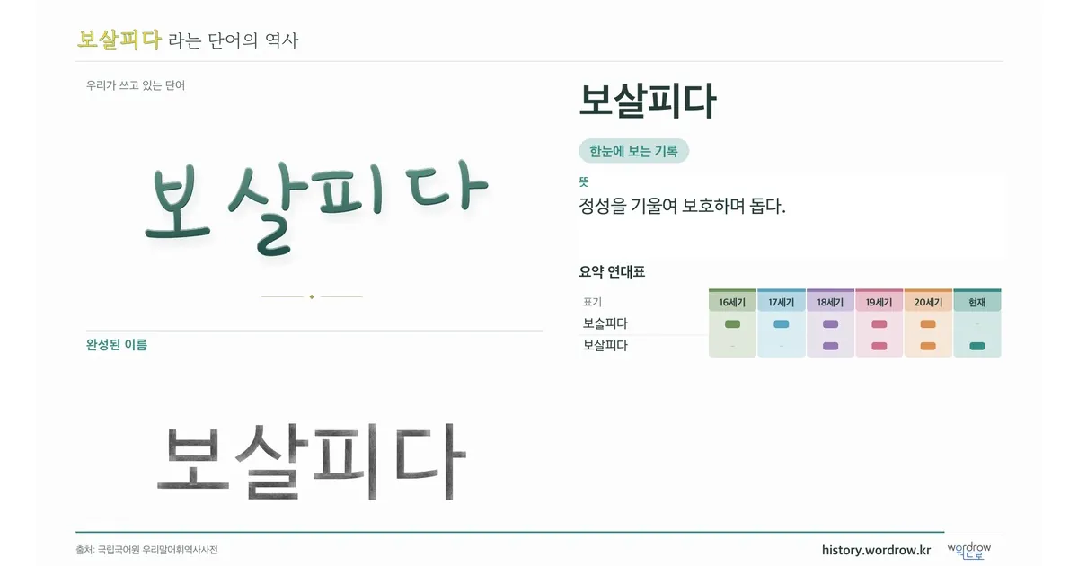 보살피다 대표 이미지