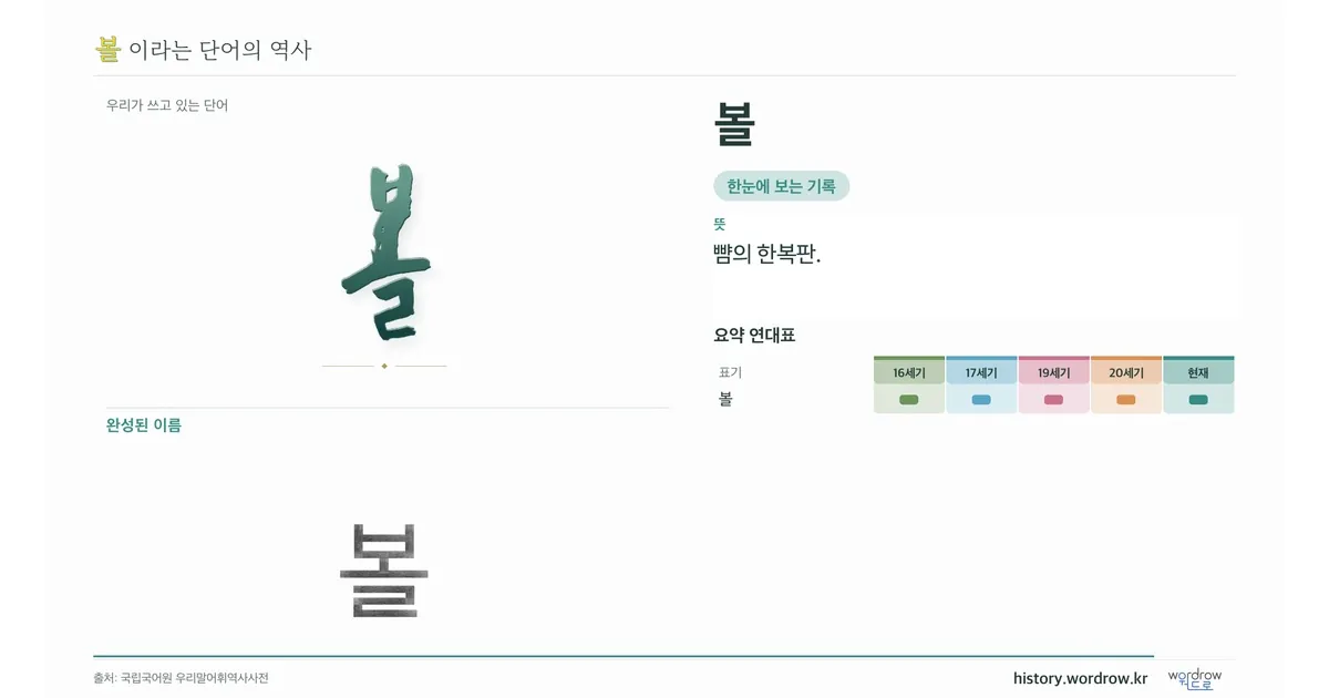 볼 대표 이미지