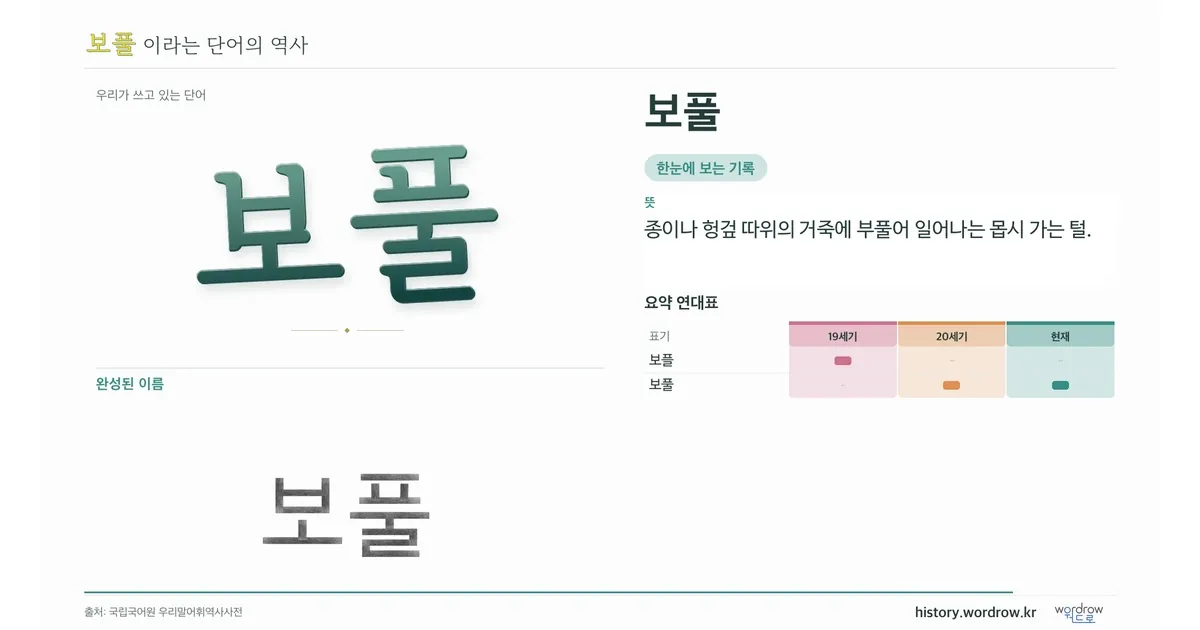 보풀 대표 이미지