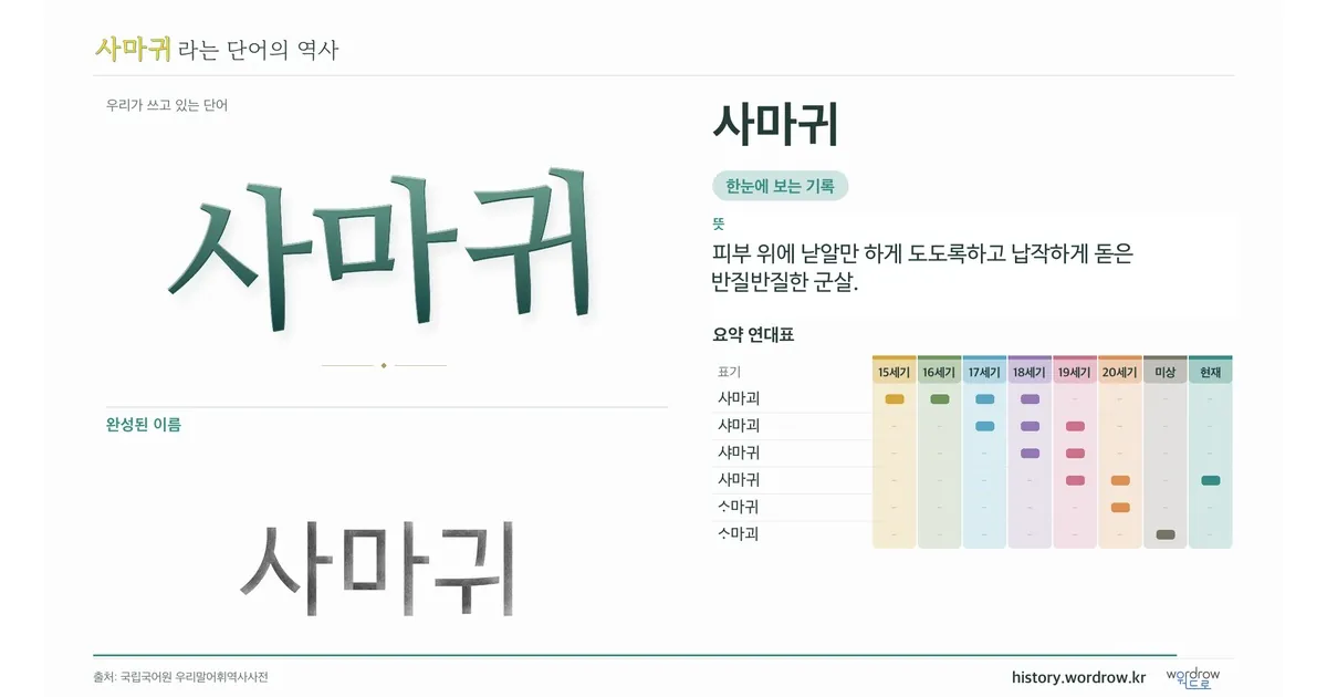사마귀 대표 이미지