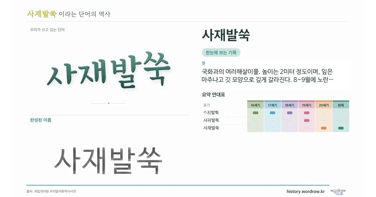 사재발쑥 대표 이미지