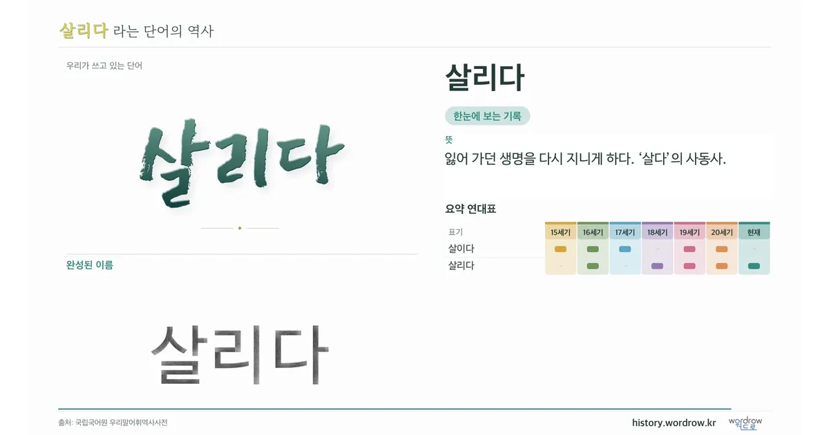 살리다 대표 이미지