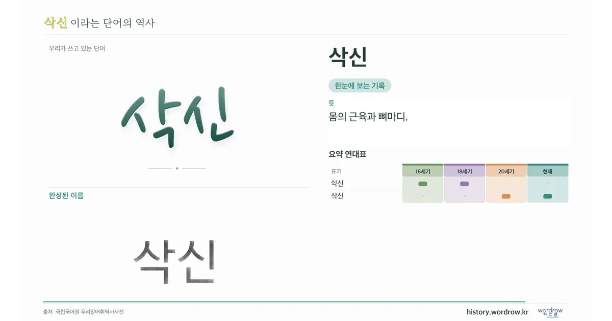 삭신 대표 이미지