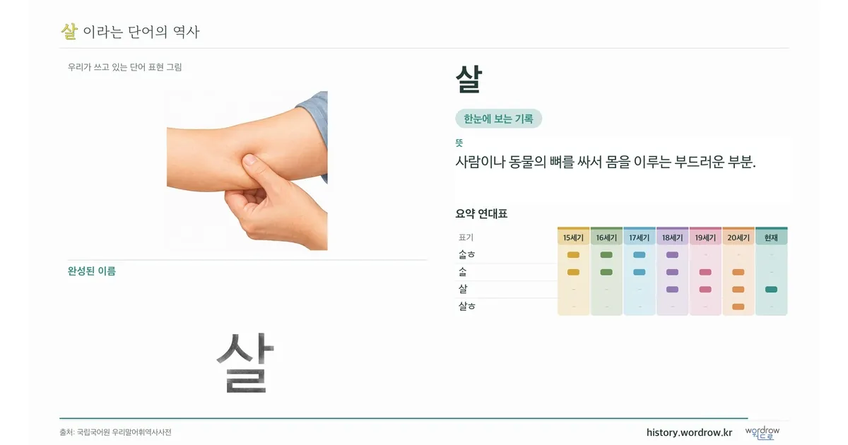 살 대표 이미지
