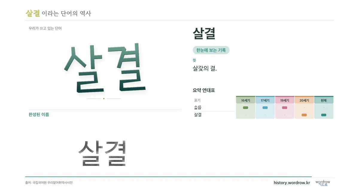 살결 대표 이미지