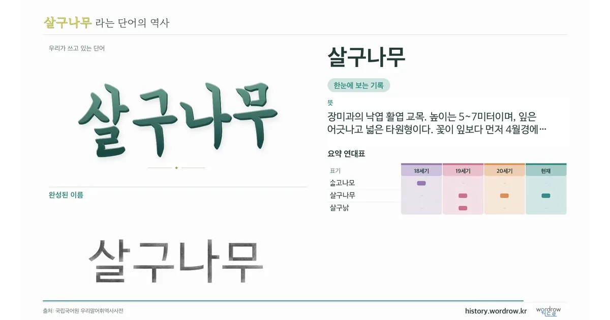 살구나무 대표 이미지