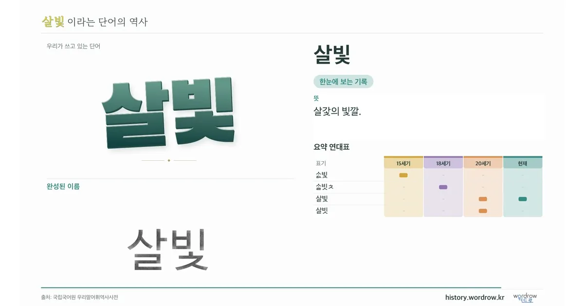 살빛 대표 이미지