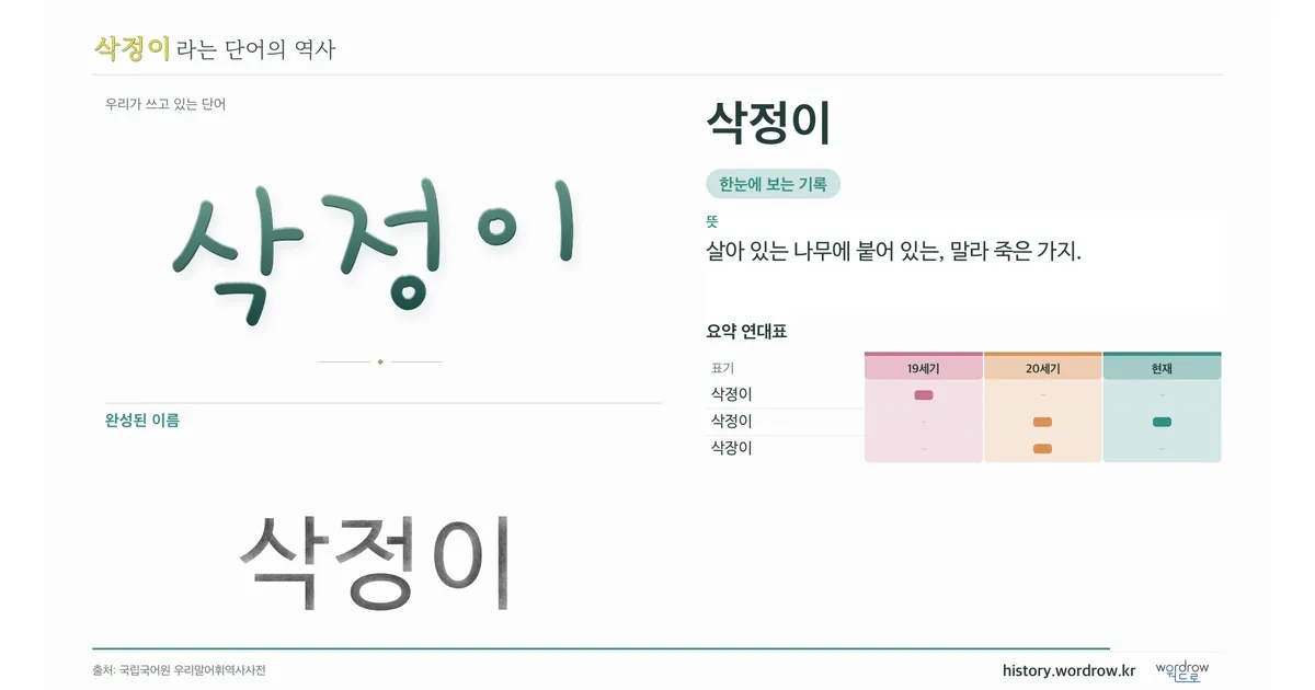 삭정이 대표 이미지