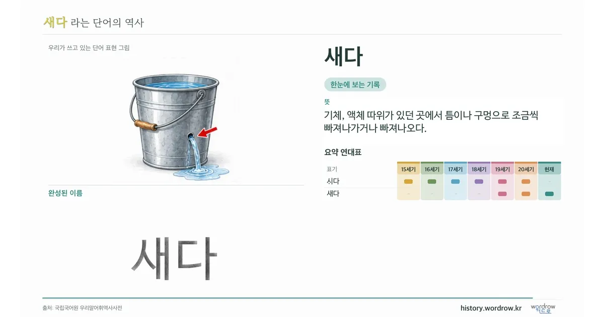 새다 대표 이미지