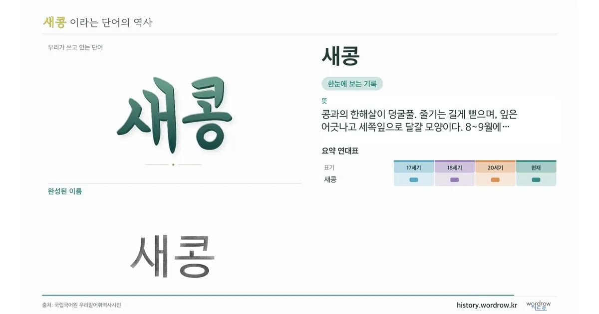 새콩 대표 이미지