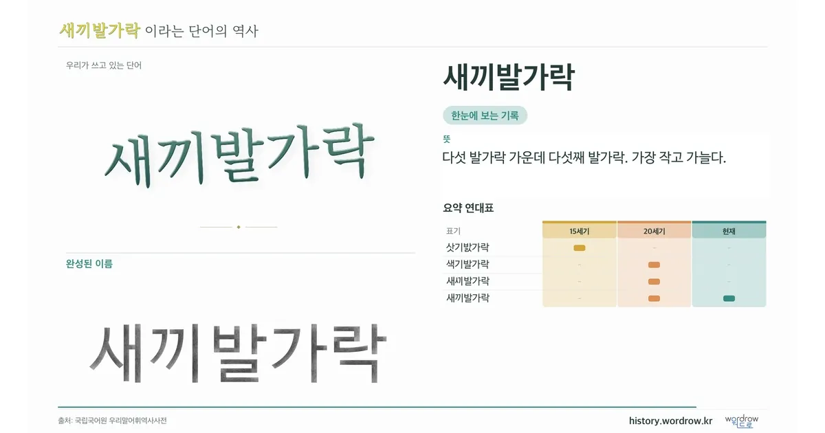새끼발가락 대표 이미지