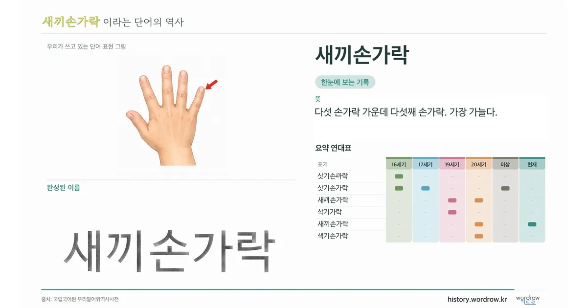 새끼손가락 대표 이미지