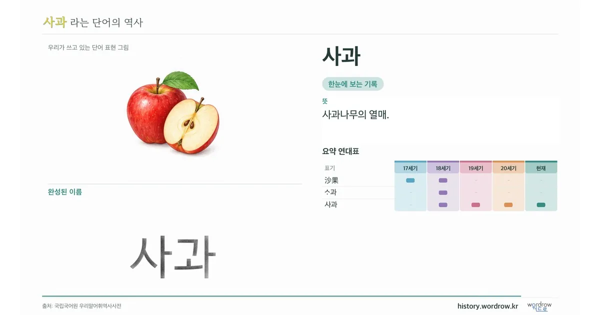 사과 대표 이미지