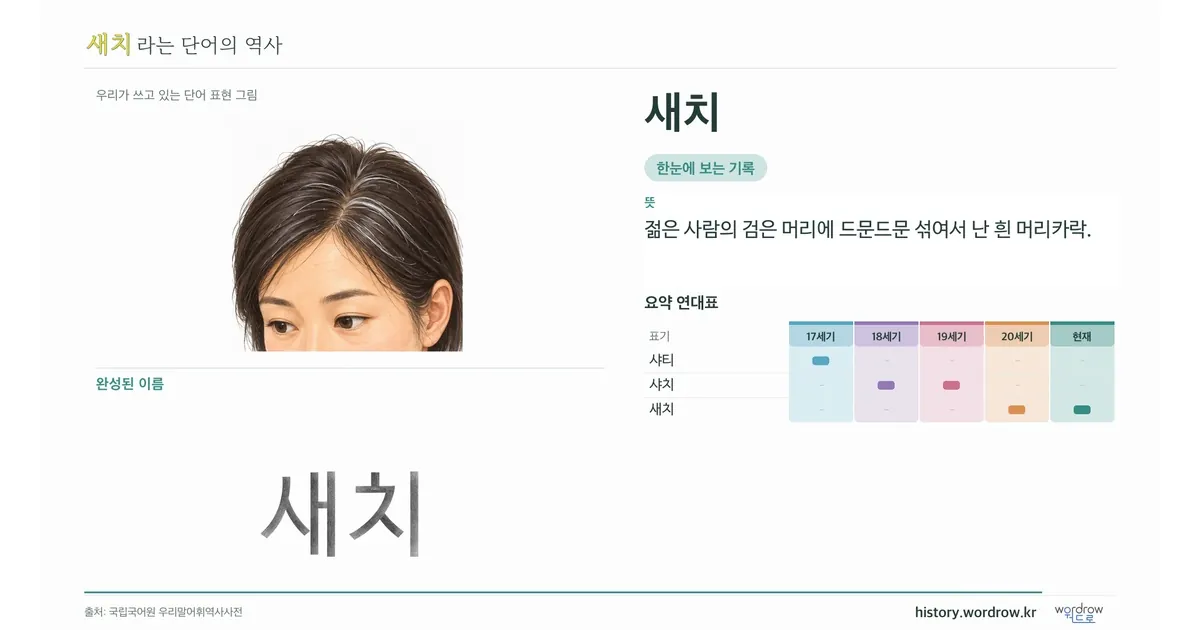 새치 대표 이미지