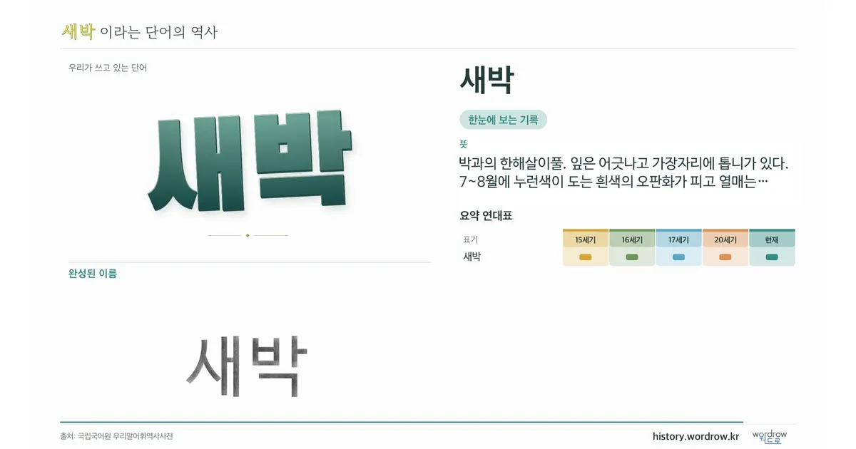새박 대표 이미지