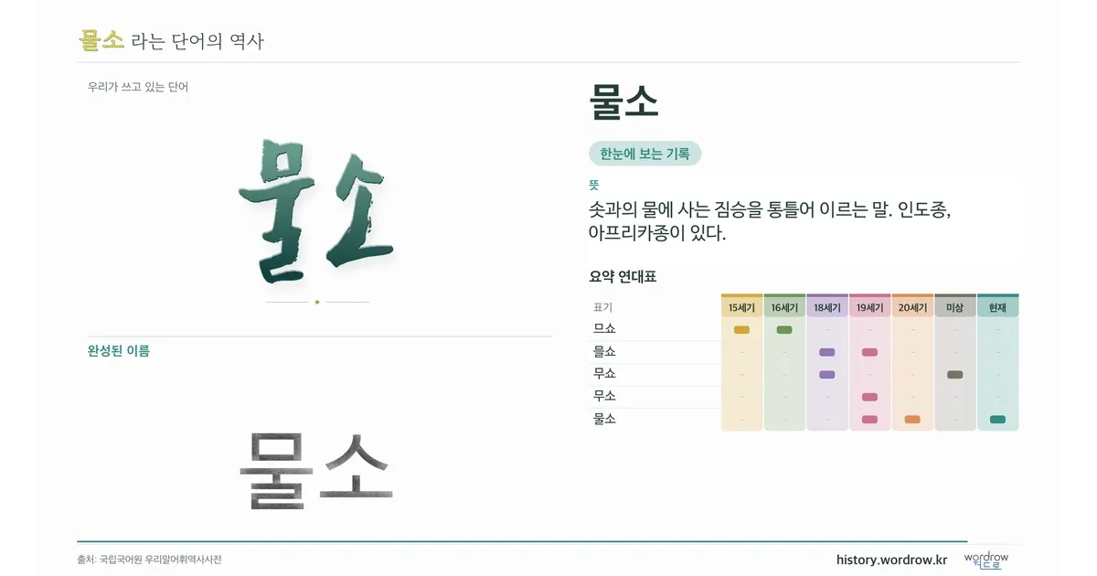 물소 대표 이미지