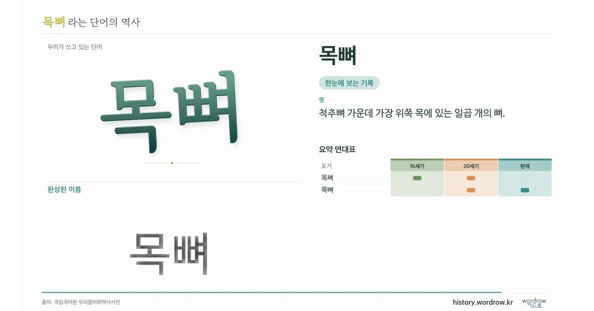 목뼈 대표 이미지