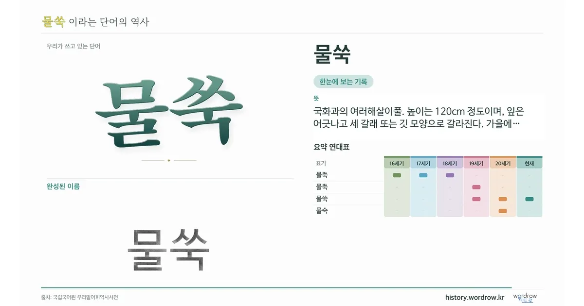물쑥 대표 이미지