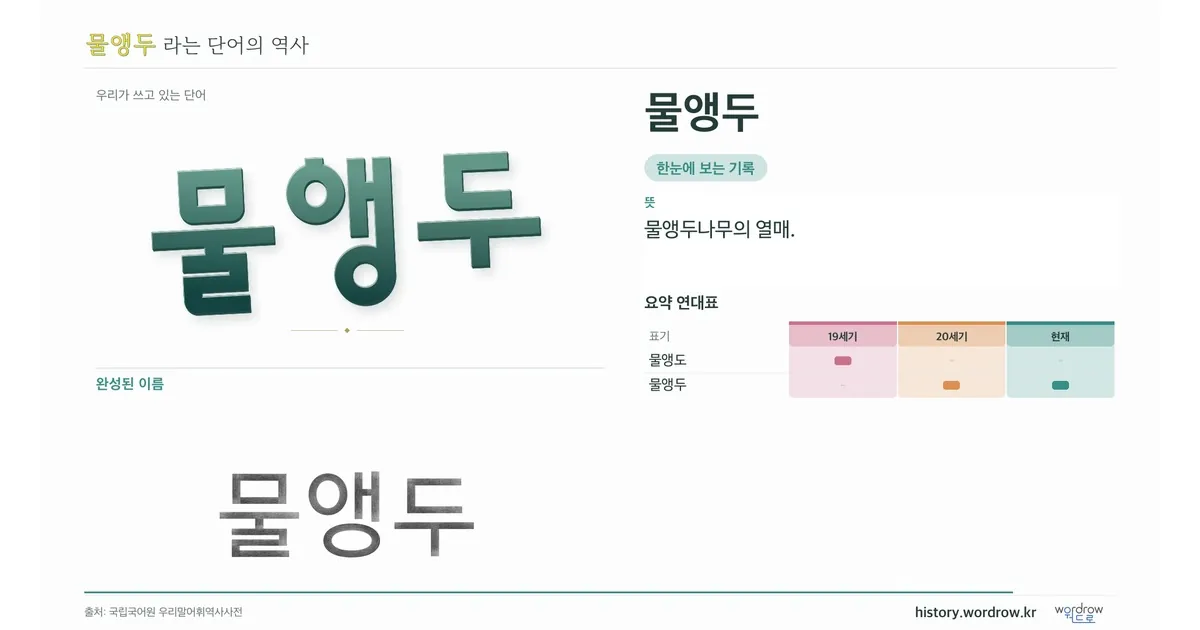 물앵두 대표 이미지