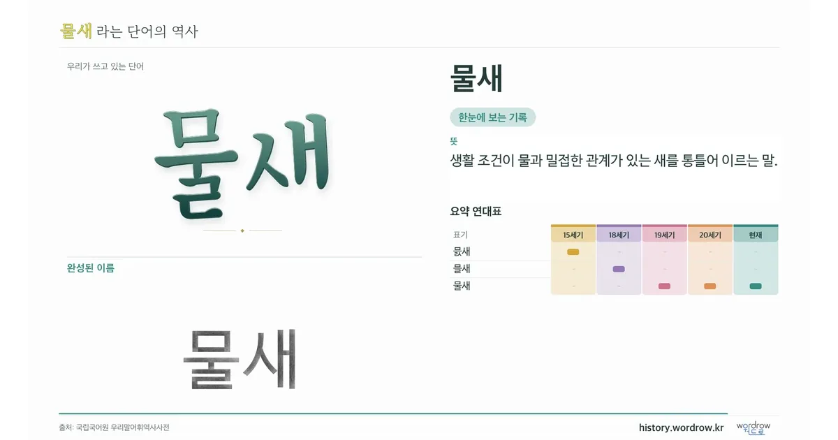 물새 대표 이미지