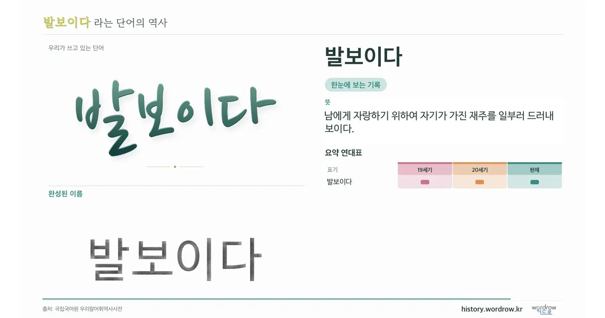 발보이다 대표 이미지