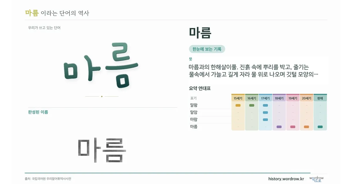 마름 대표 이미지
