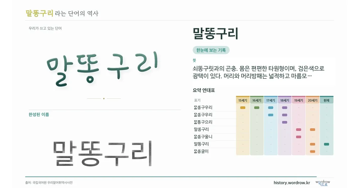 말똥구리 대표 이미지