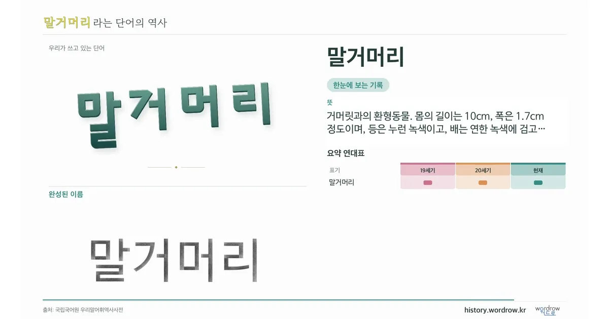 말거머리 대표 이미지
