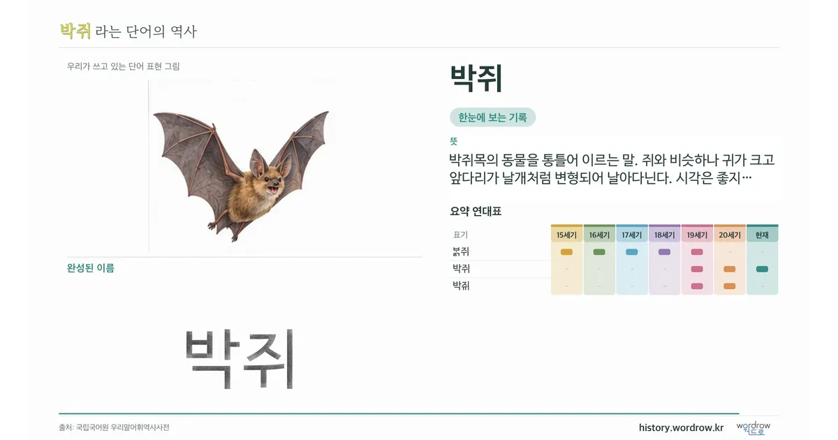 박쥐 대표 이미지
