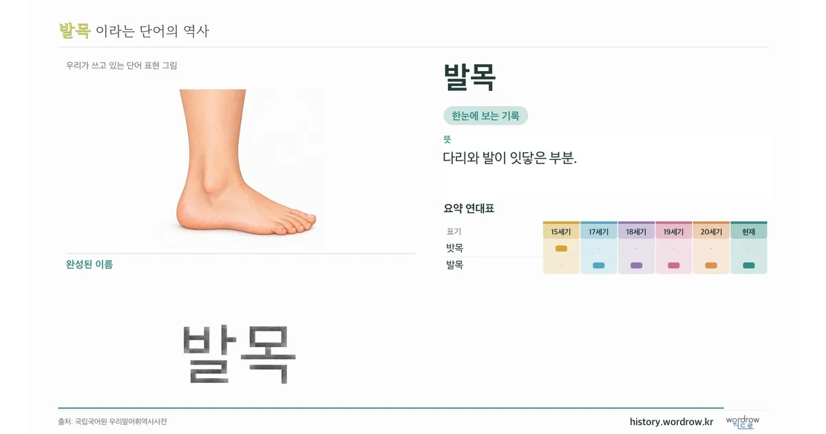 발목 대표 이미지