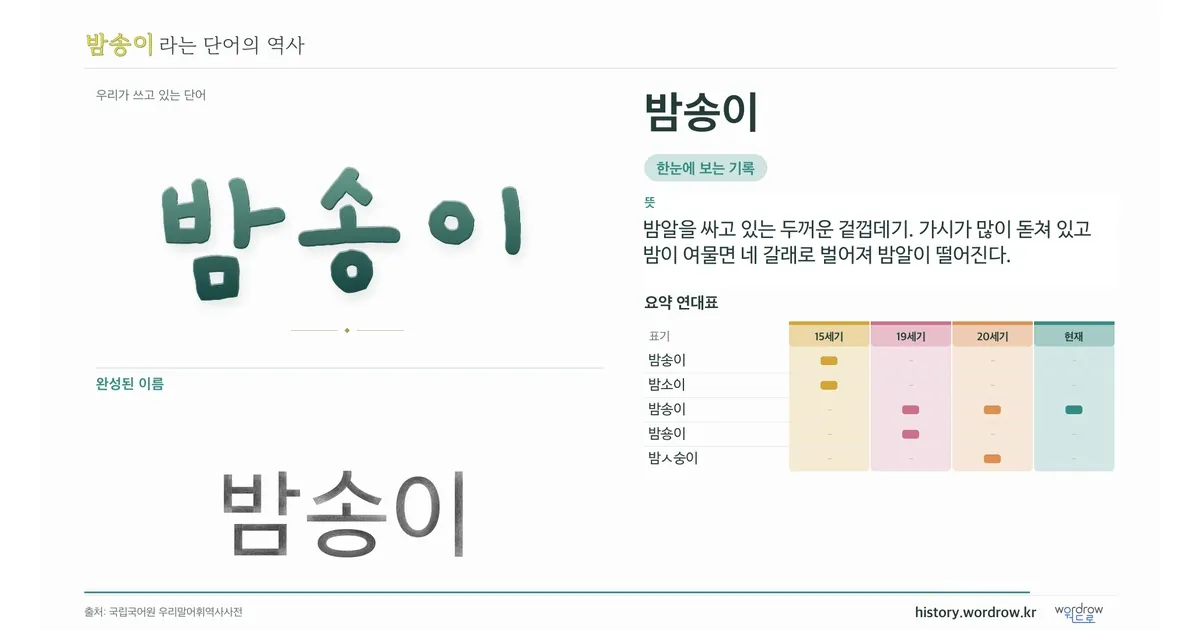 밤송이 대표 이미지