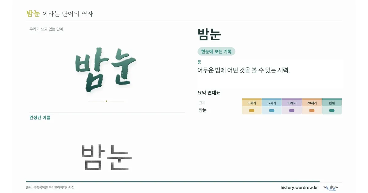 밤눈 대표 이미지