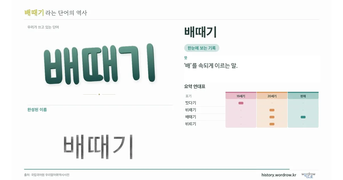 배때기 대표 이미지