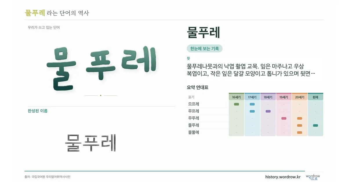 물푸레 대표 이미지