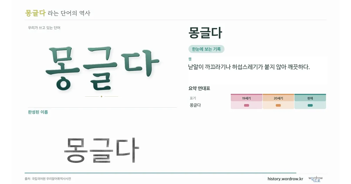 몽글다 대표 이미지