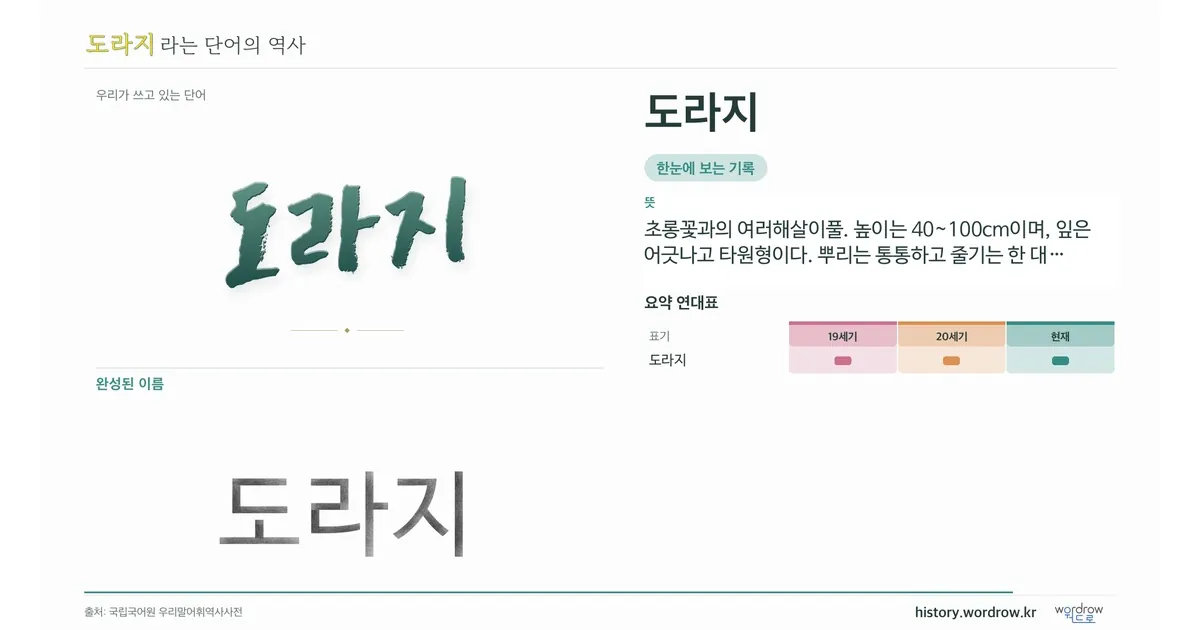 도라지 대표 이미지