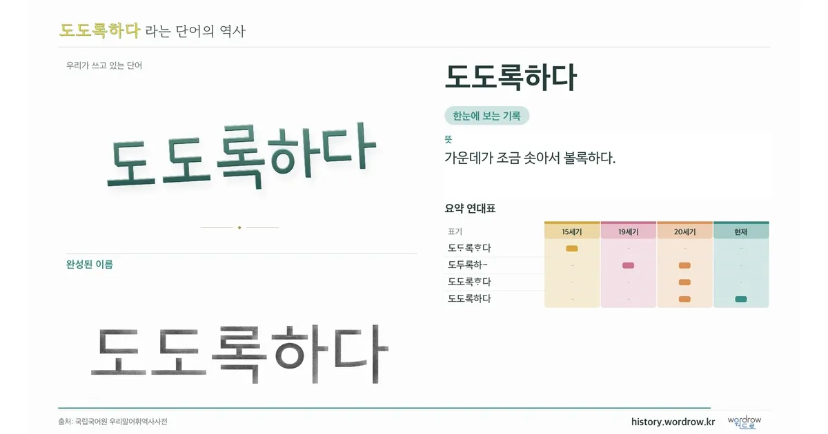 도도록하다 대표 이미지