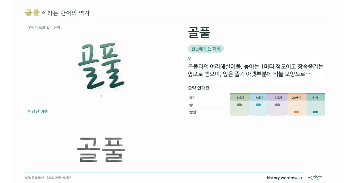 골풀 대표 이미지
