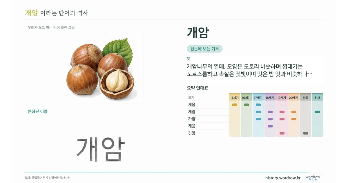 개암 대표 이미지