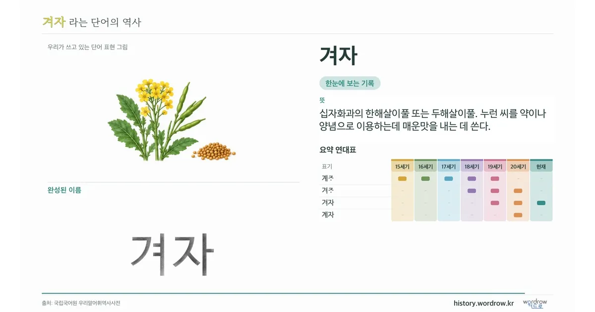 겨자 대표 이미지