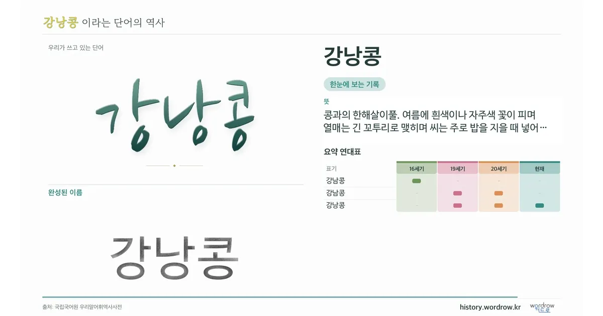강낭콩 대표 이미지