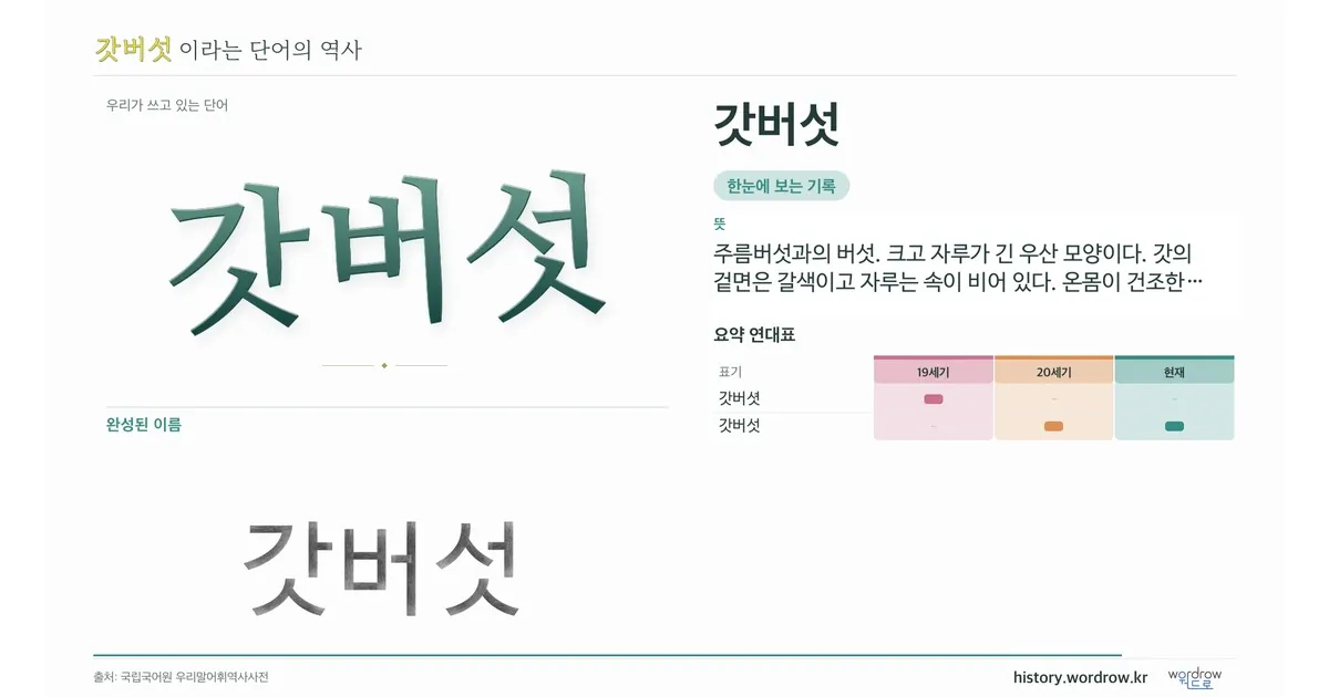 갓버섯 대표 이미지
