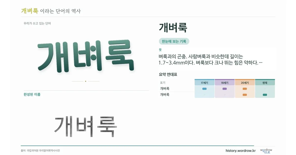 개벼룩 대표 이미지
