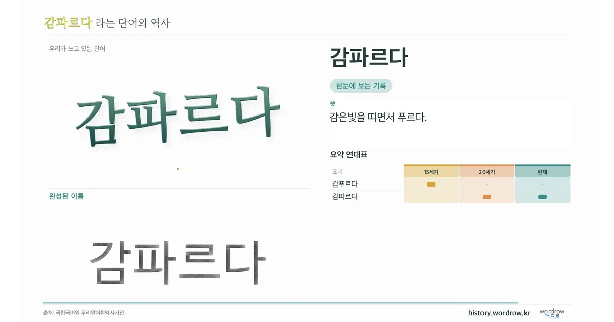 감파르다 대표 이미지