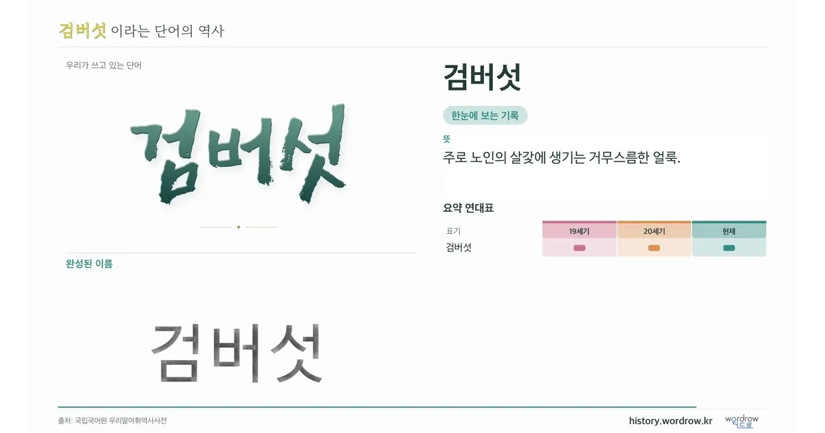 검버섯 대표 이미지