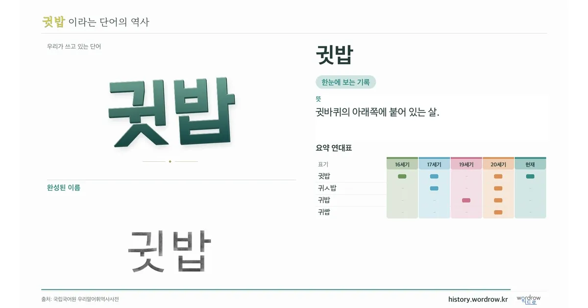 귓밥 대표 이미지